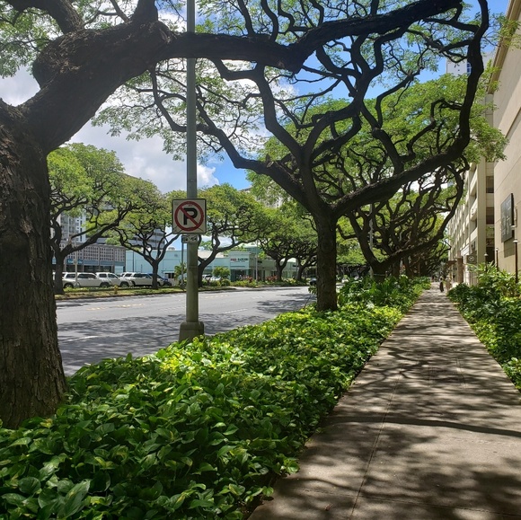 Meet your Posher, Erica - Picture 1 of 1